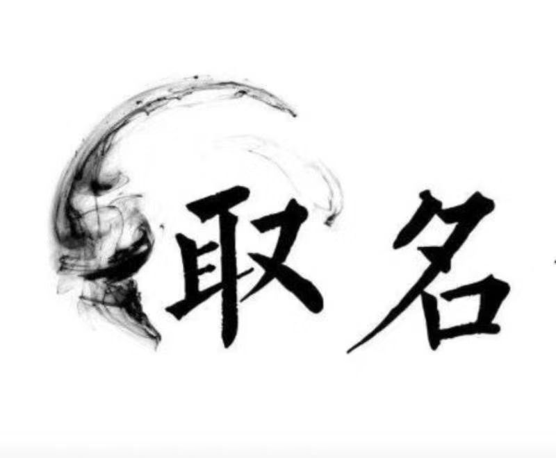  天心宝宝取名 大师一对一人工起名